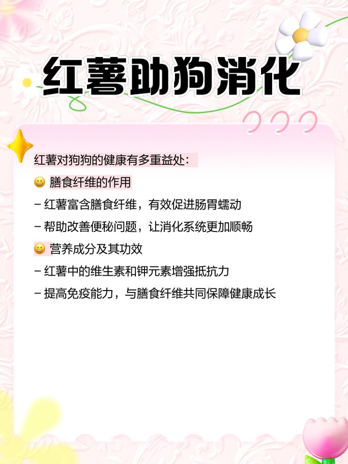 狗狗可以吃番薯吗,狗狗可以吃番薯吗?-第3张图片-后鲨宠物 狗狗可以吃番薯吗,狗狗可以吃番薯吗?-第3张图片-后鲨宠物