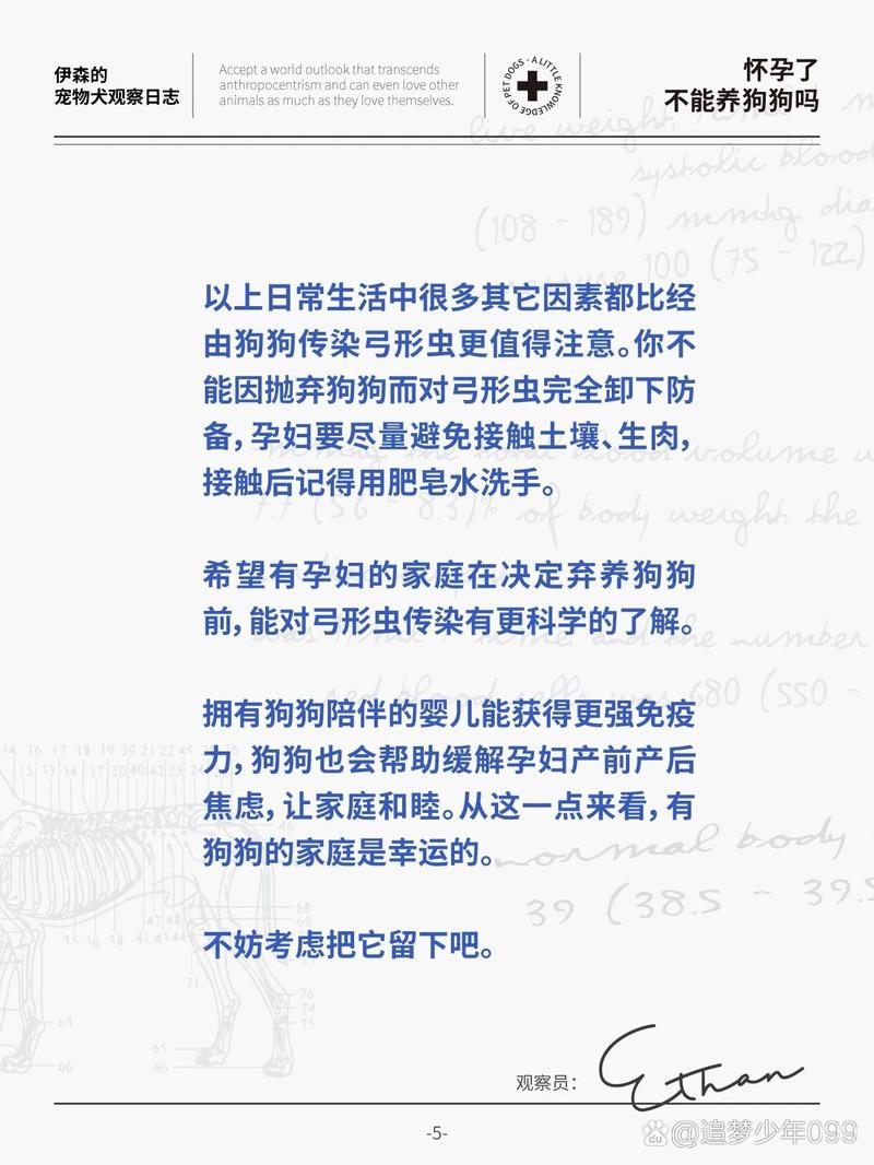 怀孕了可以养狗狗吗_怀孕了可以养狗狗吗