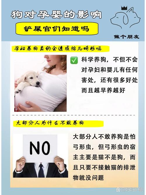 怀孕了可以养狗狗吗_怀孕了可以养狗狗吗-第3张图片-后鲨宠物 怀孕了可以养狗狗吗_怀孕了可以养狗狗吗-第3张图片-后鲨宠物