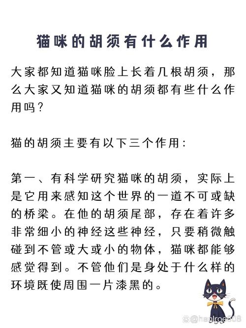 猫咪的胡须有什么作用_猫咪的胡须有什么用处-第3张图片-后鲨宠物 猫咪的胡须有什么作用_猫咪的胡须有什么用处-第3张图片-后鲨宠物