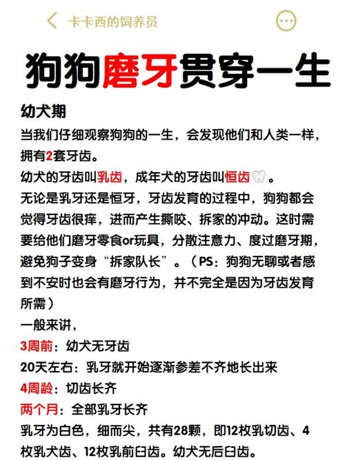 狗狗多大开始刷牙_狗狗一般多大开始刷牙