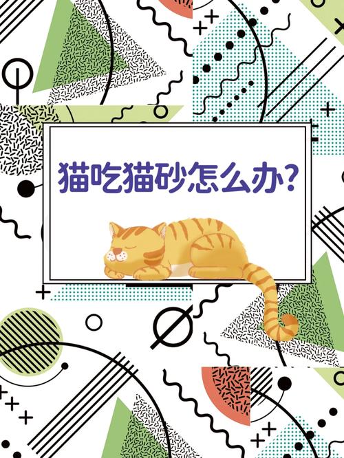  猫咪吃猫砂怎么办，猫咪吃猫砂怎么办纠正-第5张图片-后鲨宠物