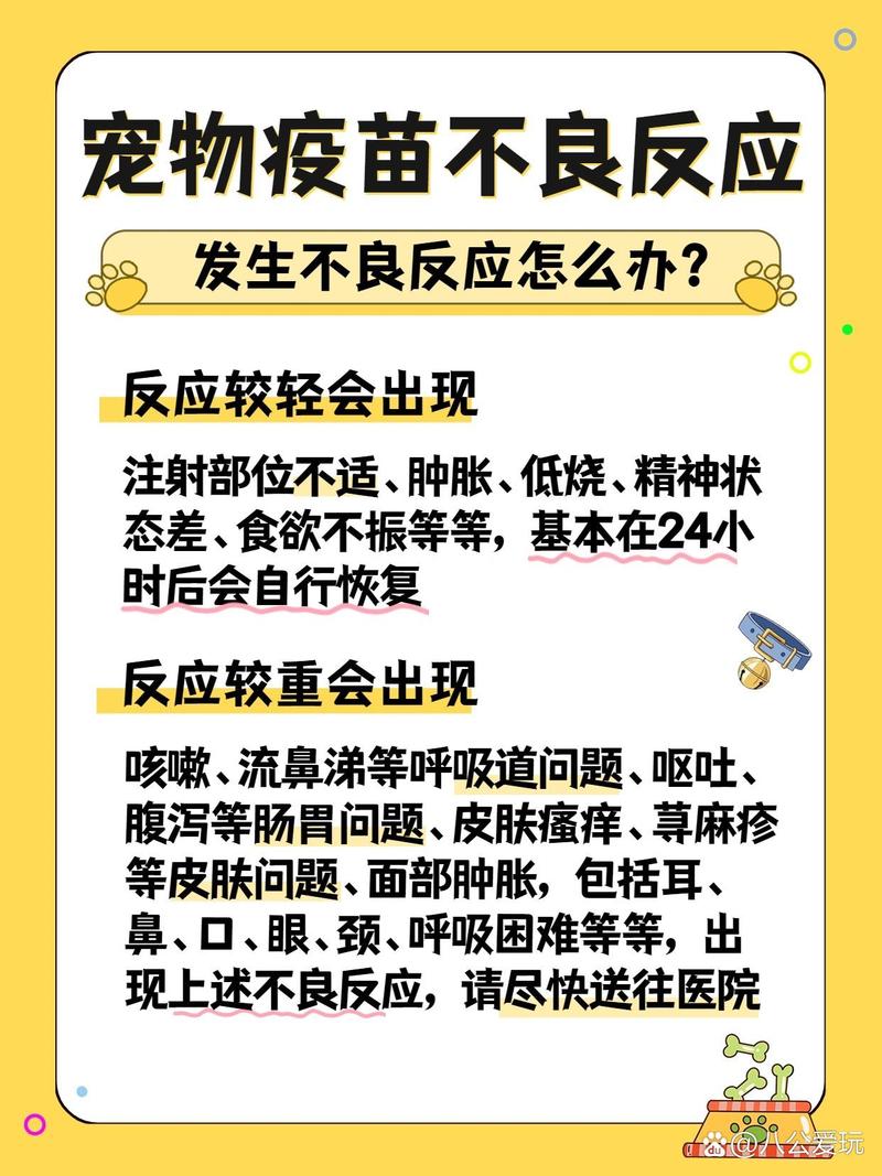 狗狗打消炎针不良反应,狗狗打消炎针过量会死吗-第2张图片-后鲨宠物 狗狗打消炎针不良反应,狗狗打消炎针过量会死吗-第2张图片-后鲨宠物