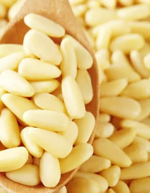 猫咪能吃松子吗_猫咪能吃松子吗有营养吗-第4张图片-后鲨宠物 猫咪能吃松子吗_猫咪能吃松子吗有营养吗-第4张图片-后鲨宠物