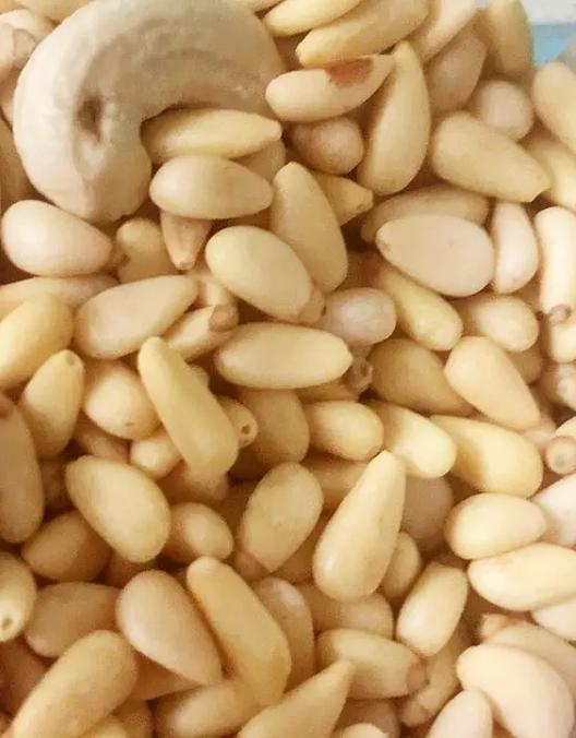 猫咪能吃松子吗_猫咪能吃松子吗有营养吗-第3张图片-后鲨宠物 猫咪能吃松子吗_猫咪能吃松子吗有营养吗-第3张图片-后鲨宠物