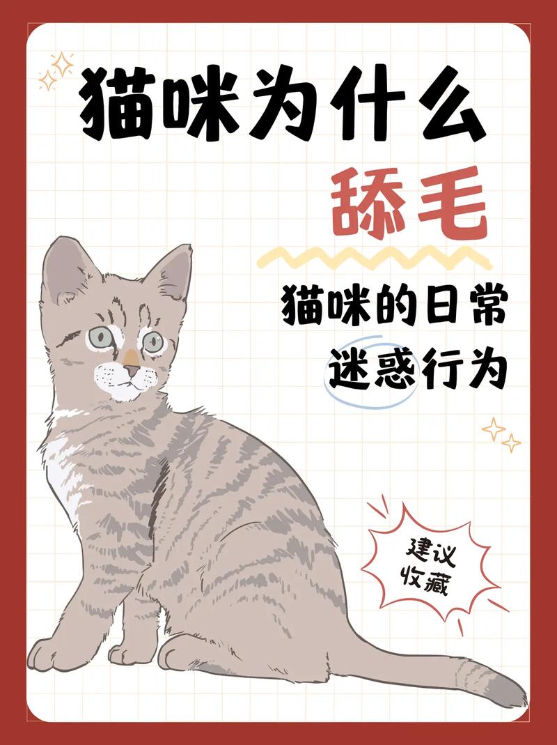 猫咪能吃松子吗_猫咪能吃松子吗有营养吗-第5张图片-后鲨宠物 猫咪能吃松子吗_猫咪能吃松子吗有营养吗-第5张图片-后鲨宠物