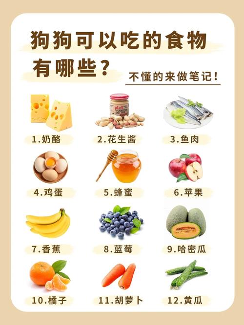 狗狗可以吃黄豆吗_狗子可以吃黄豆-第4张图片-后鲨宠物 狗狗可以吃黄豆吗_狗子可以吃黄豆-第4张图片-后鲨宠物