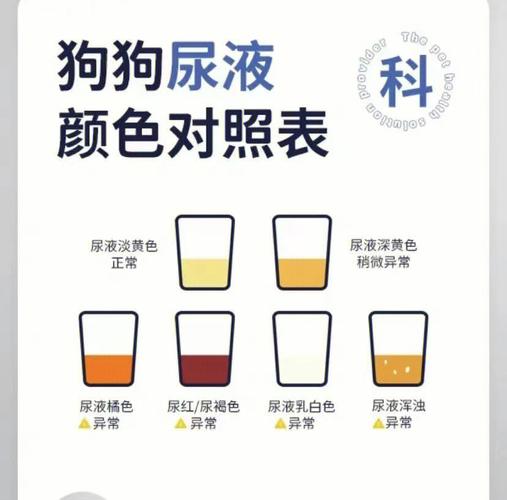 狗狗尿什么颜色正常_狗狗尿应该是什么颜色