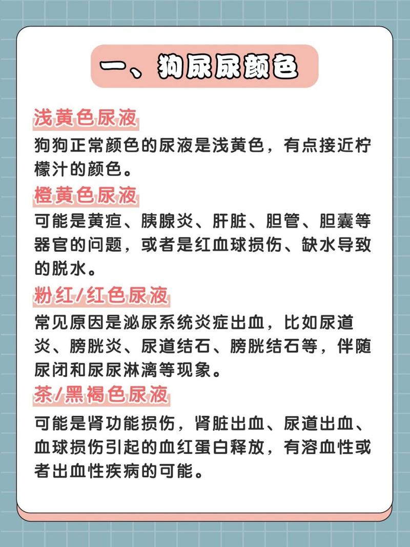 狗狗尿什么颜色正常_狗狗尿应该是什么颜色-第2张图片-后鲨宠物