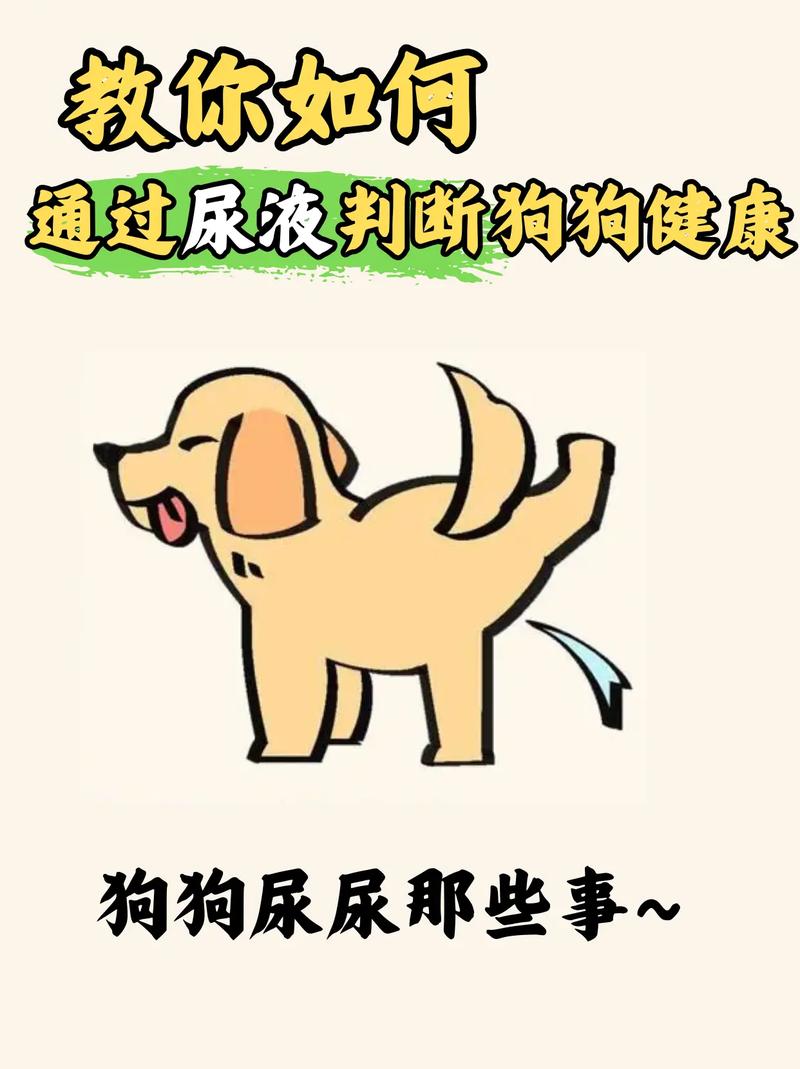 狗狗尿什么颜色正常_狗狗尿应该是什么颜色-第3张图片-后鲨宠物