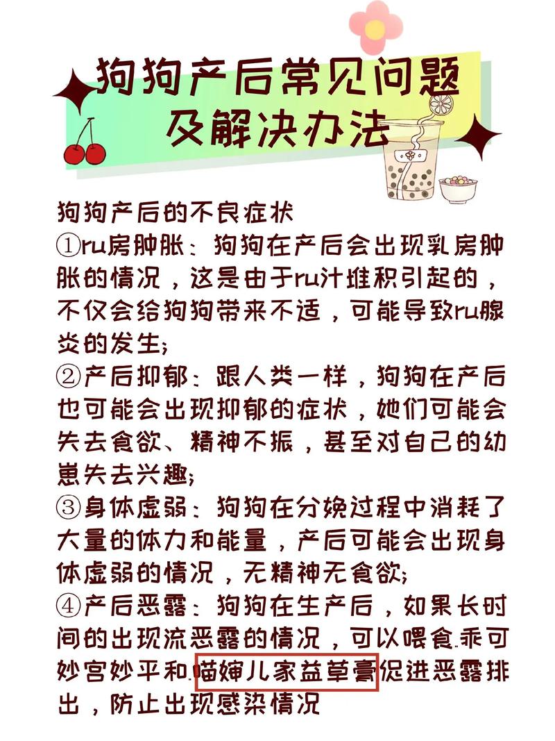 狗狗产后热是怎么回事,狗狗产后热症状有哪些-第5张图片-后鲨宠物 狗狗产后热是怎么回事,狗狗产后热症状有哪些-第5张图片-后鲨宠物