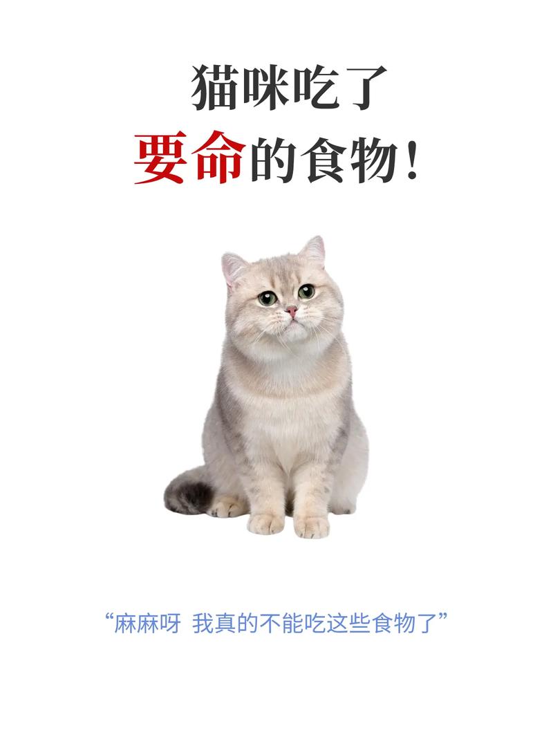 猫咪吃多了怎么办_猫咪吃多了怎么消食-第3张图片-后鲨宠物