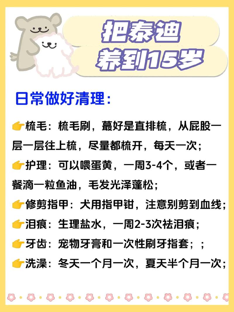 泰迪狗狗能活多少年,泰迪狗狗能活几年?-第4张图片-后鲨宠物 泰迪狗狗能活多少年,泰迪狗狗能活几年?-第4张图片-后鲨宠物