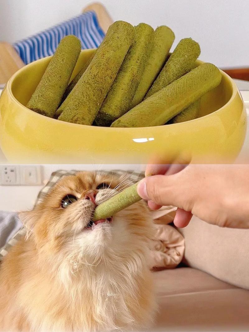 猫咪喜欢吃什么草_猫咪喜欢吃什么草或菜-第4张图片-后鲨宠物