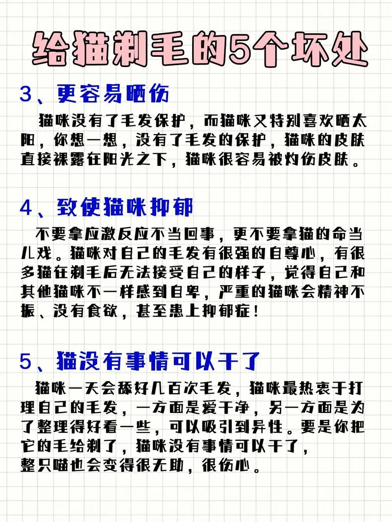 给猫咪剃毛好吗_给猫剃毛有用吗-第5张图片-后鲨宠物 给猫咪剃毛好吗_给猫剃毛有用吗-第5张图片-后鲨宠物