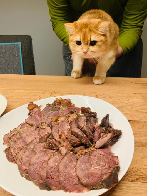 猫咪吃牛肉正确方法，猫咪吃牛肉好不好？