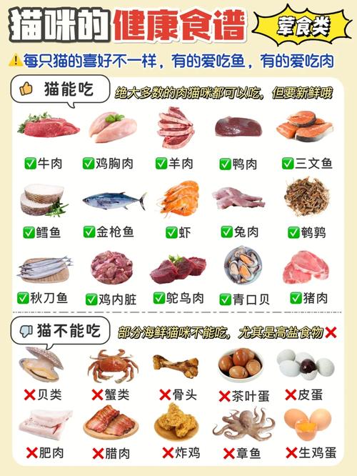 猫咪吃牛肉正确方法,猫咪吃牛肉好不好?-第3张图片-后鲨宠物 猫咪吃牛肉正确方法,猫咪吃牛肉好不好?-第3张图片-后鲨宠物