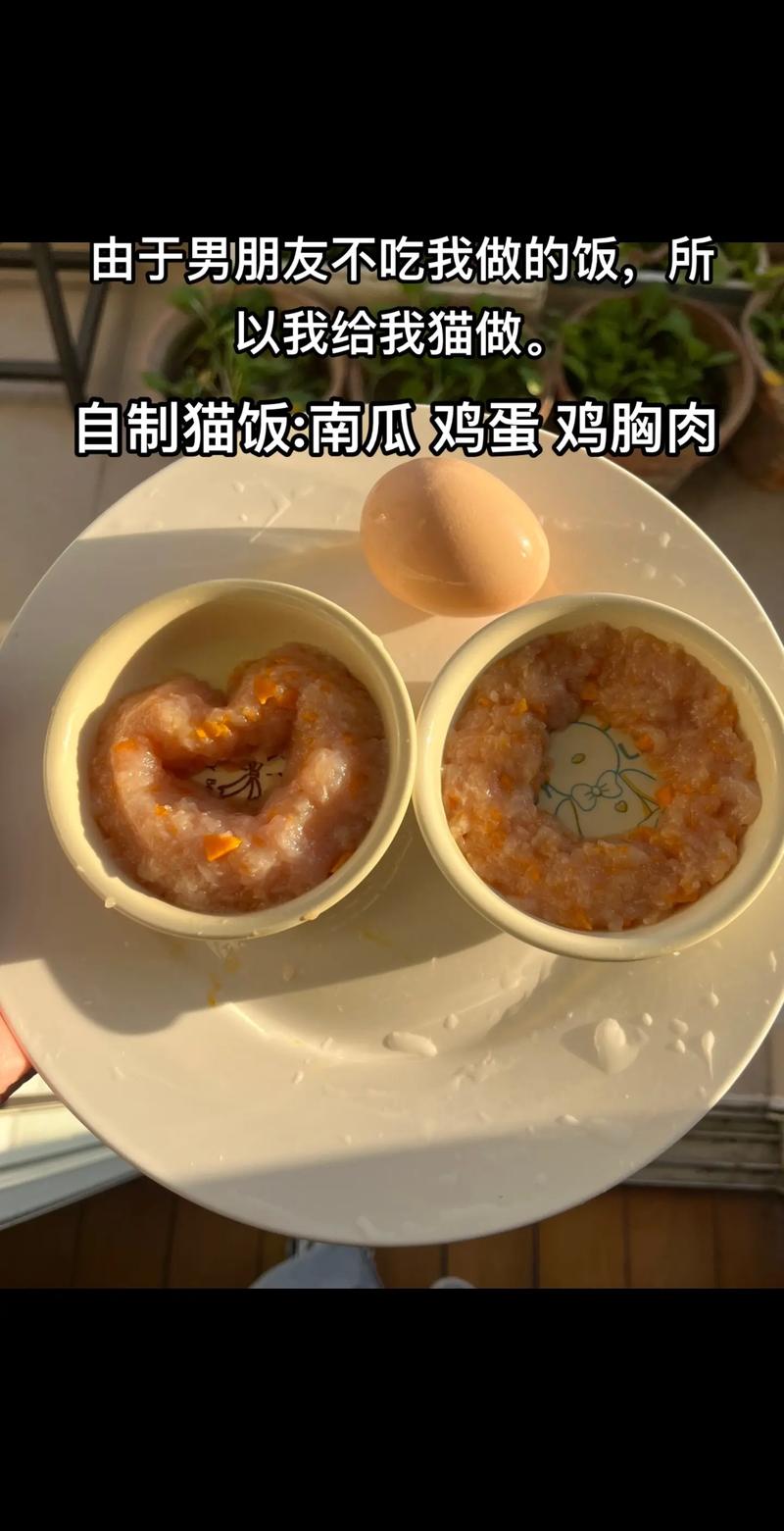 怎么给猫咪做鸡胸肉_给猫猫做鸡胸肉怎么做-第3张图片-后鲨宠物