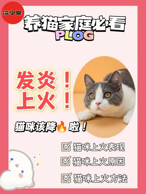 猫咪能吃绿豆粥吗_猫猫可以吃绿豆稀饭嘛-第2张图片-后鲨宠物 猫咪能吃绿豆粥吗_猫猫可以吃绿豆稀饭嘛-第2张图片-后鲨宠物