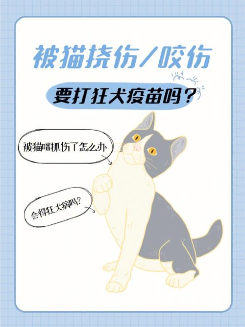 猫咪要打狂犬疫苗吗，猫咪要打狂犬疫苗吗多少钱？-第2张图片-后鲨宠物