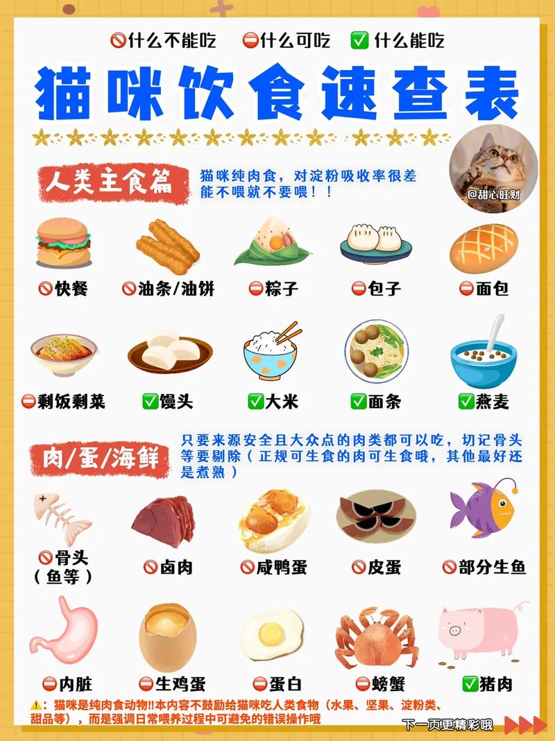 小猫咪吃什么食物好,小猫咪吃啥比较好-第3张图片-后鲨宠物 小猫咪吃什么食物好,小猫咪吃啥比较好-第3张图片-后鲨宠物