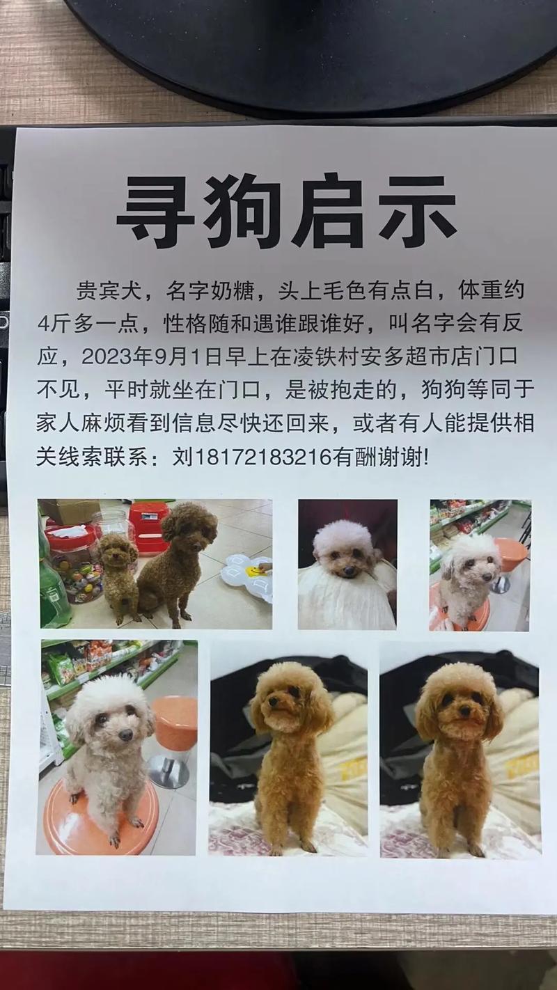 狗狗能吃奶糖吗，狗狗能吃奶糖吗会长胖吗？-第4张图片-后鲨宠物