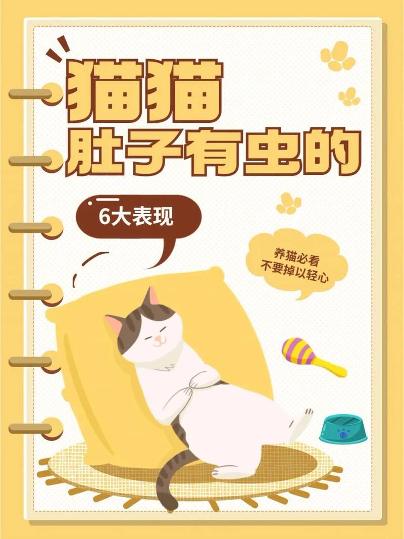  猫咪有虫什么表现，怎么判断猫咪要驱虫了