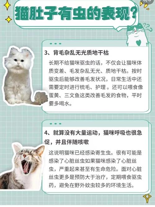 猫咪有虫什么表现,怎么判断猫咪要驱虫了-第4张图片-后鲨宠物 猫咪有虫什么表现,怎么判断猫咪要驱虫了-第4张图片-后鲨宠物