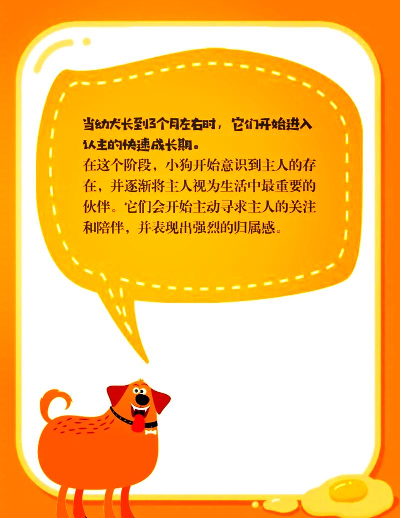 狗狗几个月认主人,狗狗怎样算是认主人了?-第2张图片-后鲨宠物 狗狗几个月认主人,狗狗怎样算是认主人了?-第2张图片-后鲨宠物