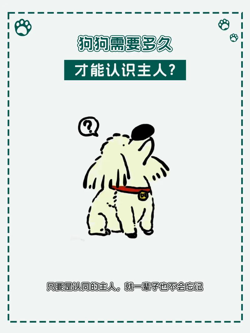 狗狗几个月认主人,狗狗怎样算是认主人了?-第6张图片-后鲨宠物 狗狗几个月认主人,狗狗怎样算是认主人了?-第6张图片-后鲨宠物