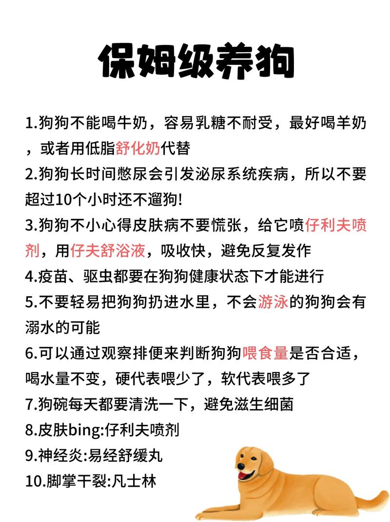 狗狗可以吃牛奶吗_狗狗可以吃牛奶吗