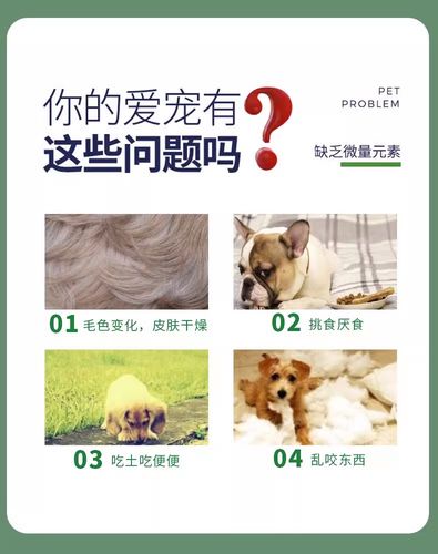 狗狗吃微量元素的作用_狗狗吃微量元素有什么作用-第3张图片-后鲨宠物 狗狗吃微量元素的作用_狗狗吃微量元素有什么作用-第3张图片-后鲨宠物