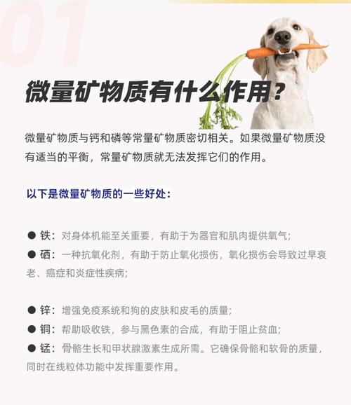 狗狗吃微量元素的作用_狗狗吃微量元素有什么作用-第5张图片-后鲨宠物 狗狗吃微量元素的作用_狗狗吃微量元素有什么作用-第5张图片-后鲨宠物