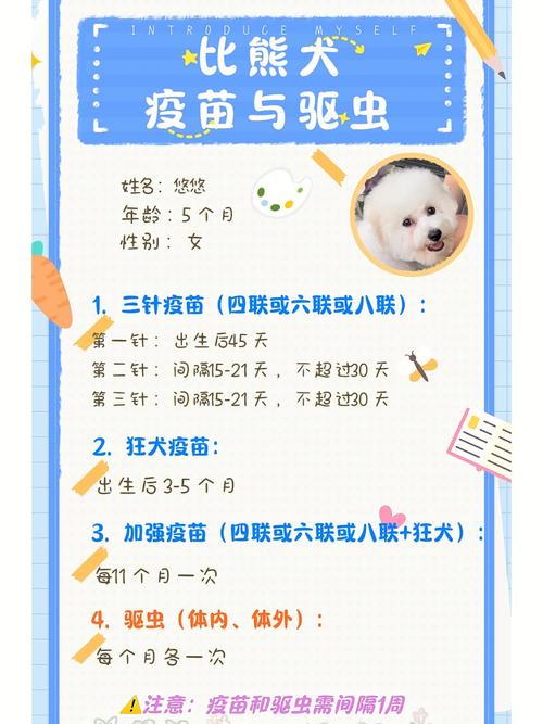狗狗几个月开始打疫苗_狗狗几个月开始打疫苗比较好-第6张图片-后鲨宠物 狗狗几个月开始打疫苗_狗狗几个月开始打疫苗比较好-第6张图片-后鲨宠物