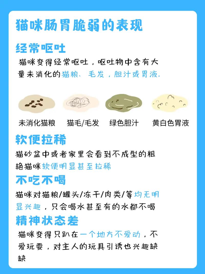 猫咪急性肠胃炎_猫咪急性肠胃炎怎么治疗-第5张图片-后鲨宠物 猫咪急性肠胃炎_猫咪急性肠胃炎怎么治疗-第5张图片-后鲨宠物