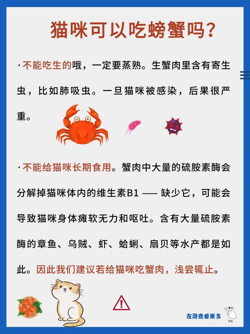 猫咪能吃蟹肉吗,猫咪能不能吃螃蟹肉-第1张图片-后鲨宠物 猫咪能吃蟹肉吗,猫咪能不能吃螃蟹肉-第1张图片-后鲨宠物