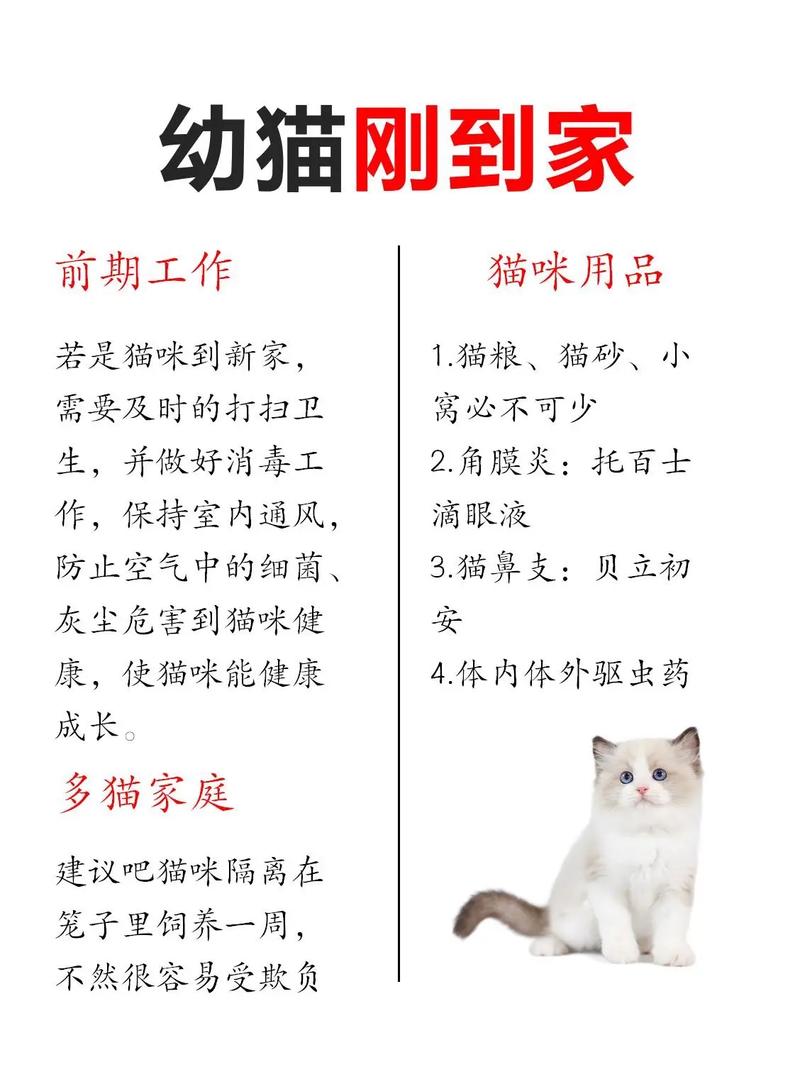 没满月的猫咪怎么养,没满月的猫咪怎么养胖?-第5张图片-后鲨宠物 没满月的猫咪怎么养,没满月的猫咪怎么养胖?-第5张图片-后鲨宠物