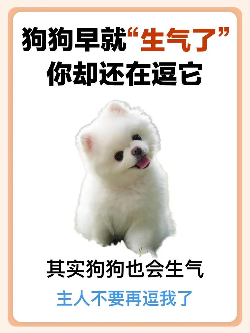  狗狗不高兴的表现，狗狗不高兴怎么回事