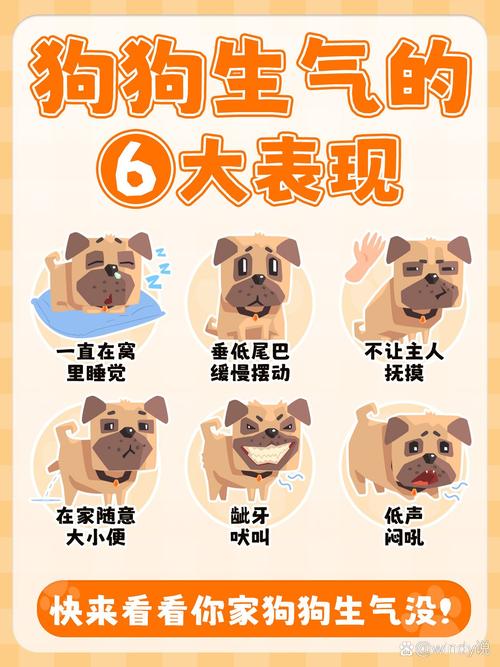 狗狗不高兴的表现,狗狗不高兴怎么回事-第3张图片-后鲨宠物 狗狗不高兴的表现,狗狗不高兴怎么回事-第3张图片-后鲨宠物