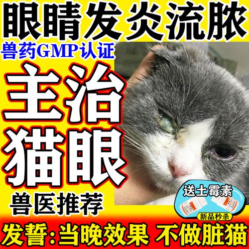 猫咪眼睛流脓睁不开,猫咪眼睛流脓睁不开的原因-第2张图片-后鲨宠物 猫咪眼睛流脓睁不开,猫咪眼睛流脓睁不开的原因-第2张图片-后鲨宠物