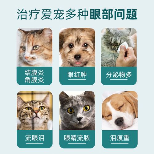 猫咪眼睛流脓睁不开,猫咪眼睛流脓睁不开的原因-第4张图片-后鲨宠物 猫咪眼睛流脓睁不开,猫咪眼睛流脓睁不开的原因-第4张图片-后鲨宠物
