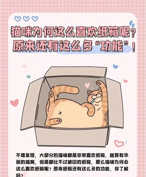 猫咪为什么喜欢纸箱_猫咪为什么喜欢纸箱子的味道-第2张图片-后鲨宠物 猫咪为什么喜欢纸箱_猫咪为什么喜欢纸箱子的味道-第2张图片-后鲨宠物