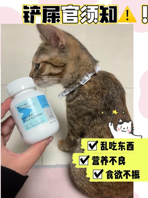 猫咪为什么喜欢纸箱_猫咪为什么喜欢纸箱子的味道-第3张图片-后鲨宠物 猫咪为什么喜欢纸箱_猫咪为什么喜欢纸箱子的味道-第3张图片-后鲨宠物