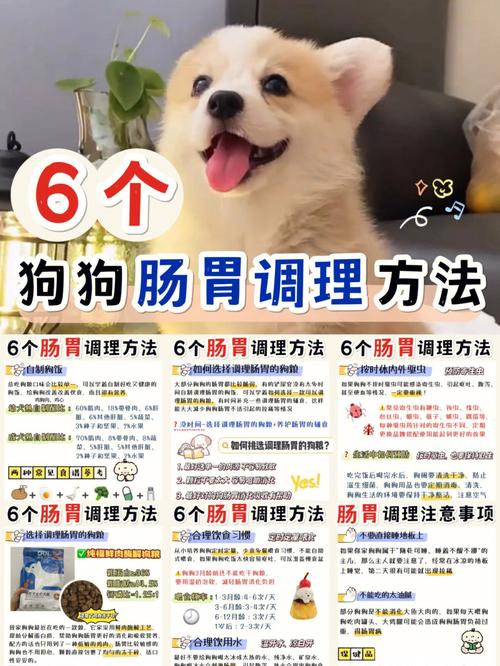 如何给狗狗按摩肚子,怎么给狗狗按摩肚子-第3张图片-后鲨宠物 如何给狗狗按摩肚子,怎么给狗狗按摩肚子-第3张图片-后鲨宠物