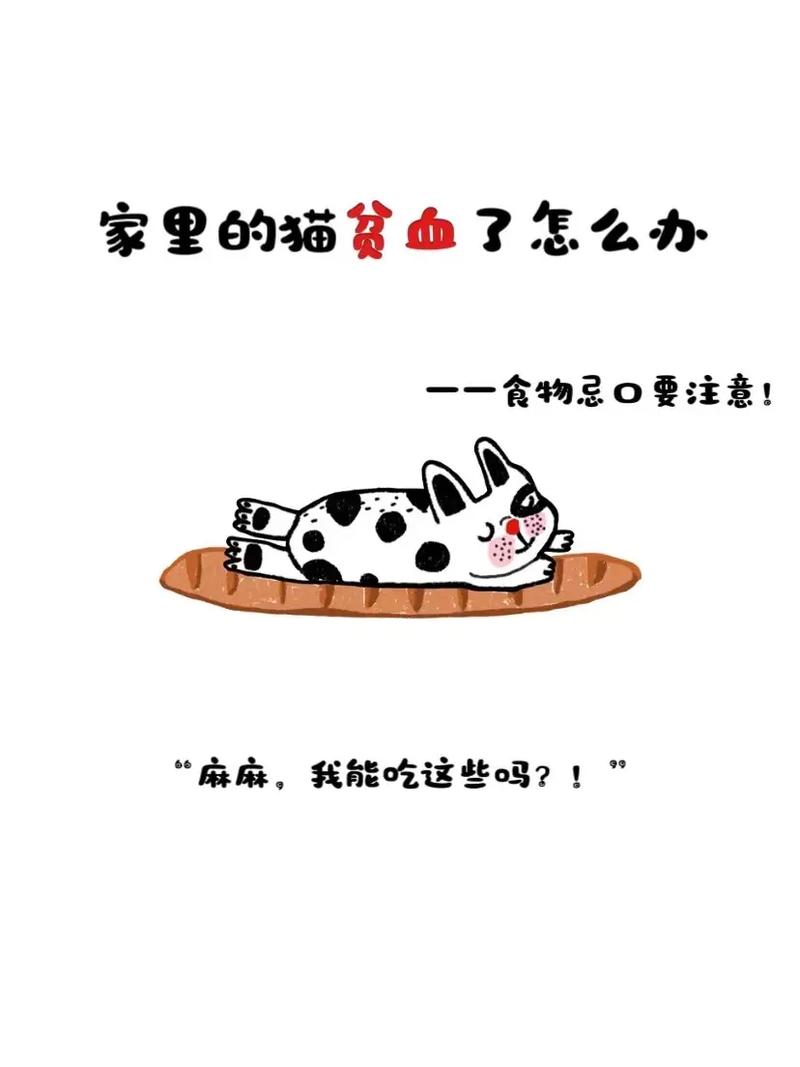 猫咪吃什么补血_猫咪吃什么补血最快比较好-第4张图片-后鲨宠物 猫咪吃什么补血_猫咪吃什么补血最快比较好-第4张图片-后鲨宠物