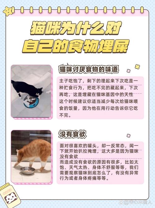 猫咪为什么会埋屎_猫咪为什么会埋屎呢-第6张图片-后鲨宠物