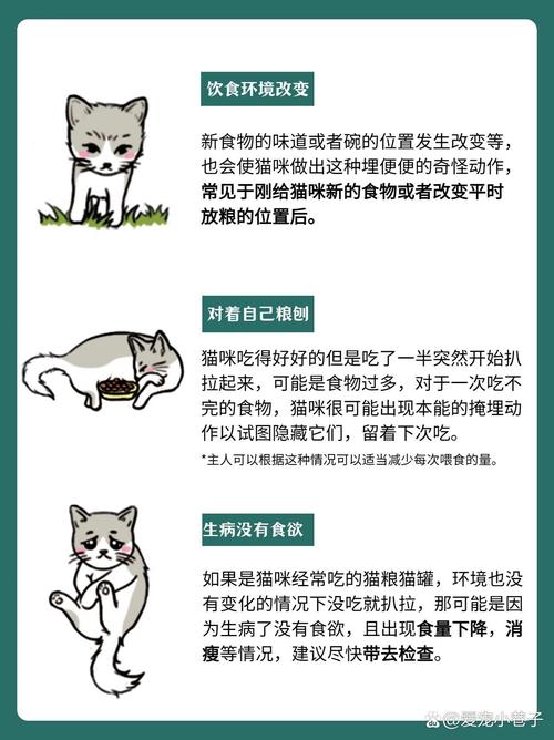 猫咪为什么会埋屎_猫咪为什么会埋屎呢-第5张图片-后鲨宠物