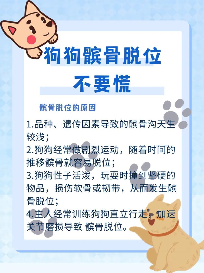狗狗髌骨在哪里,狗狗的髌骨出现问题会怎样?-第2张图片-后鲨宠物 狗狗髌骨在哪里,狗狗的髌骨出现问题会怎样?-第2张图片-后鲨宠物