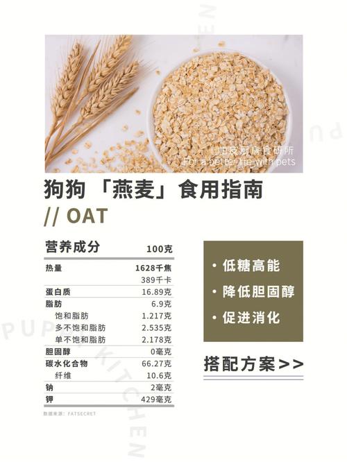 狗狗可以吃麦片吗_狗狗可以吃麦片吗?