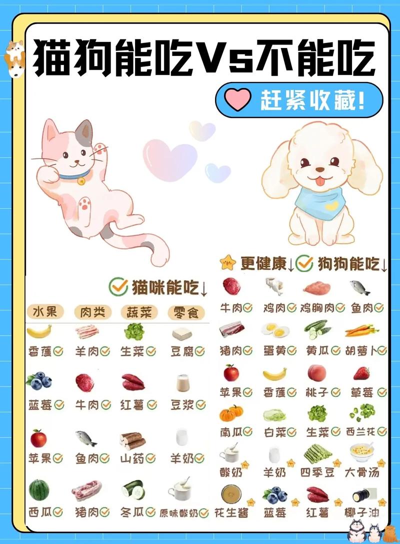 狗狗可以吃麦片吗_狗狗可以吃麦片吗?-第4张图片-后鲨宠物 狗狗可以吃麦片吗_狗狗可以吃麦片吗?-第4张图片-后鲨宠物